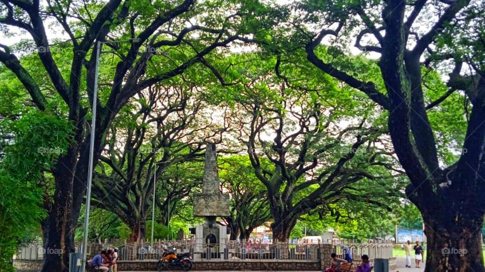 sanctuary between trees and beautiful scenery images from park