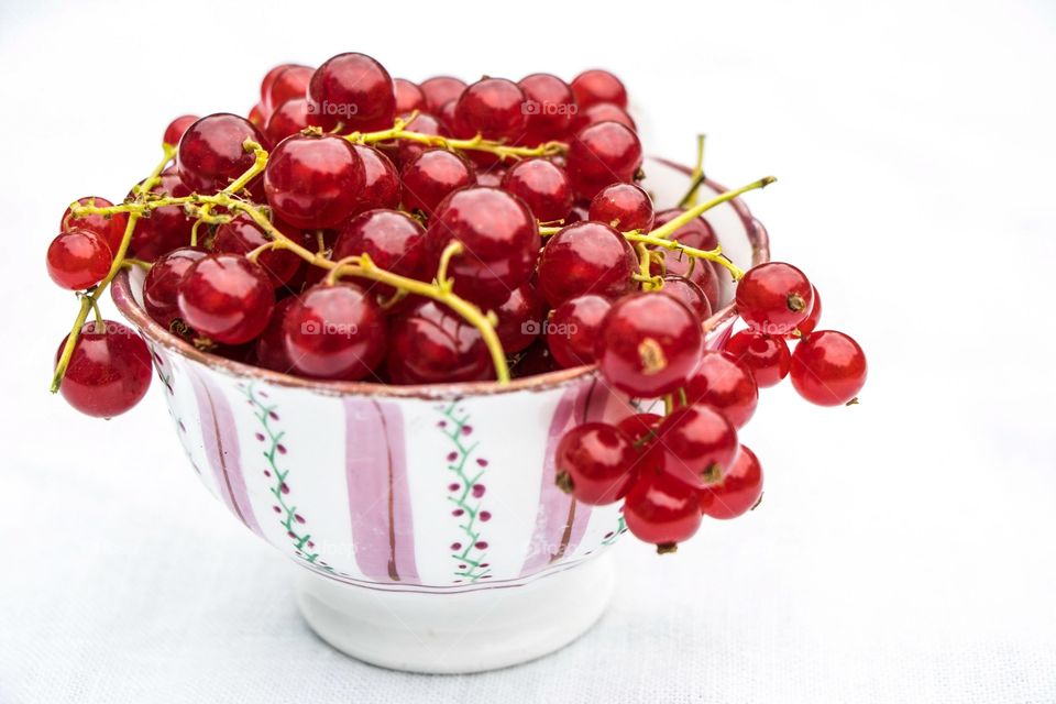 Red Currant on white background