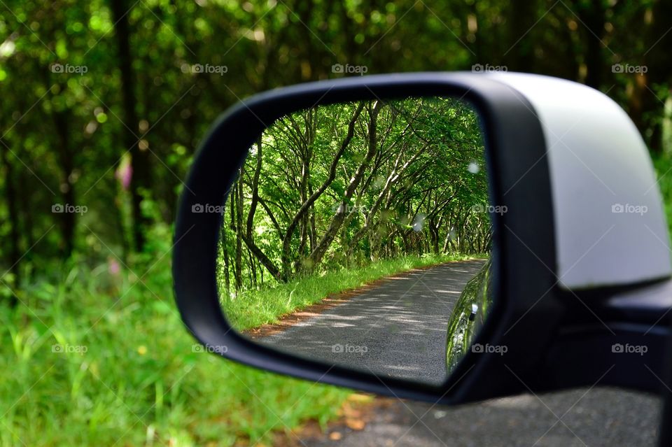 Wing mirror view