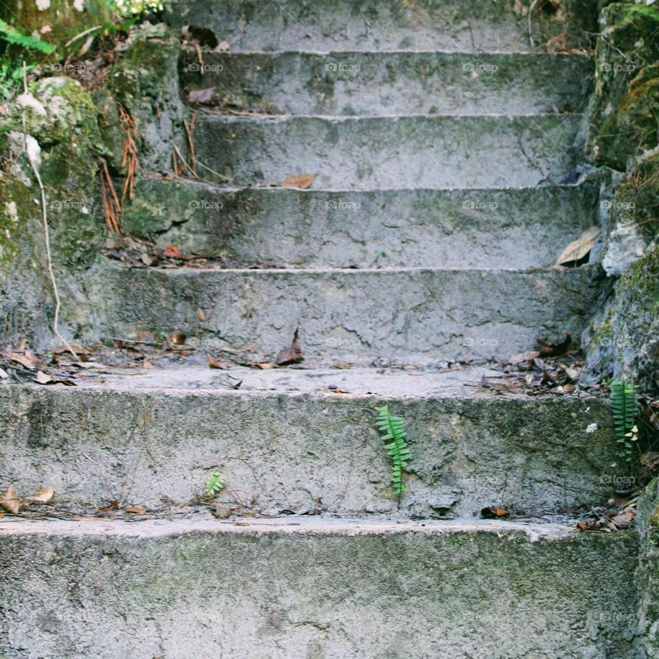 The path less traveled