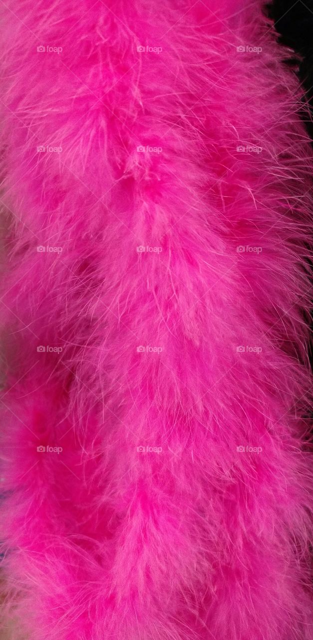 Pink feathers