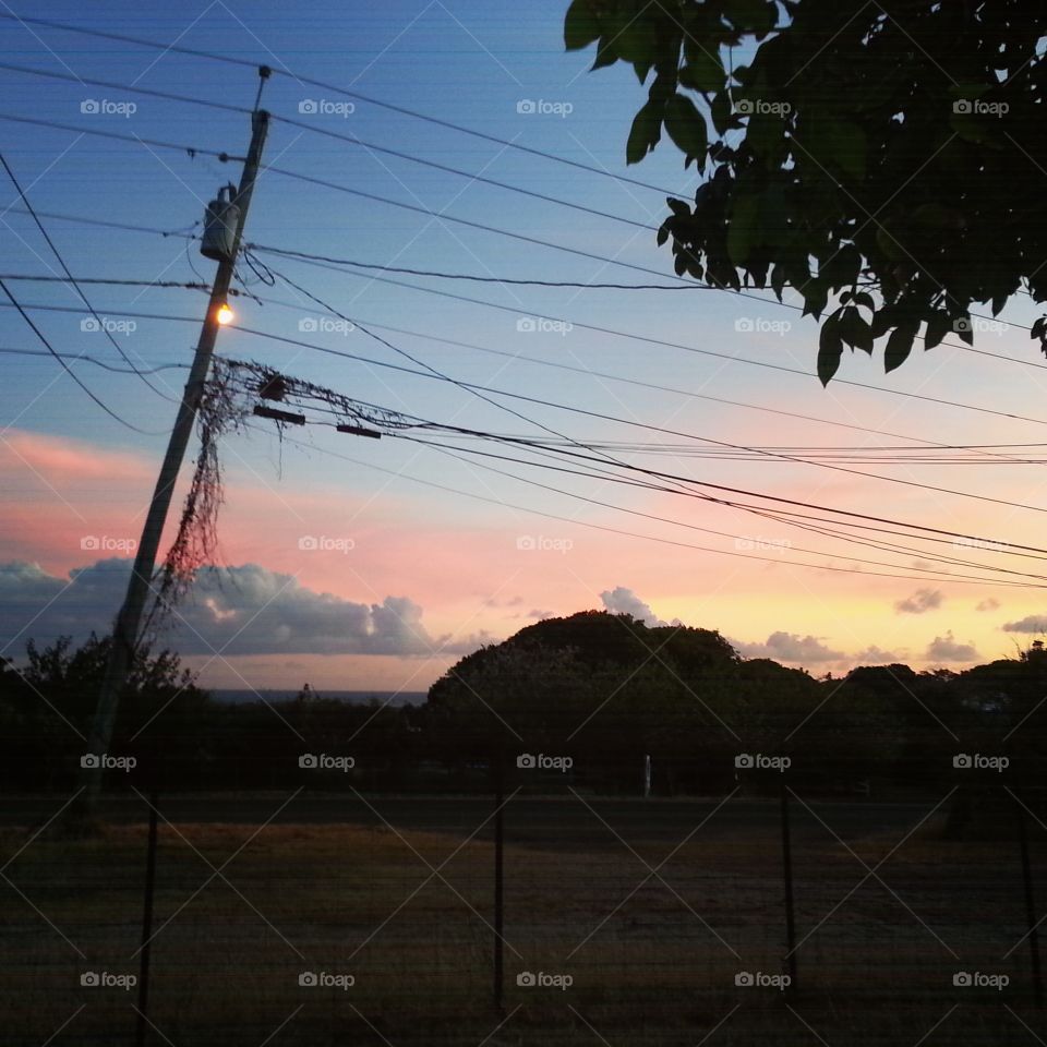 Pink skies and powerlines. my front yard. ocean view <3