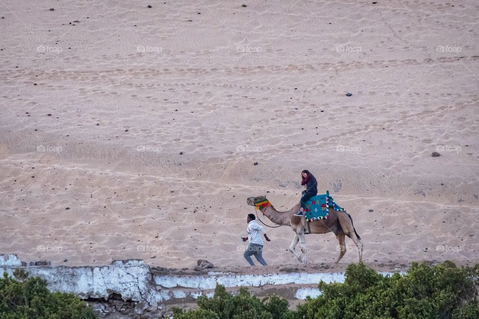 Riding camel in Luxor city
