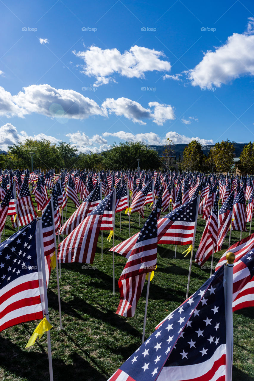 Field of Honor 11