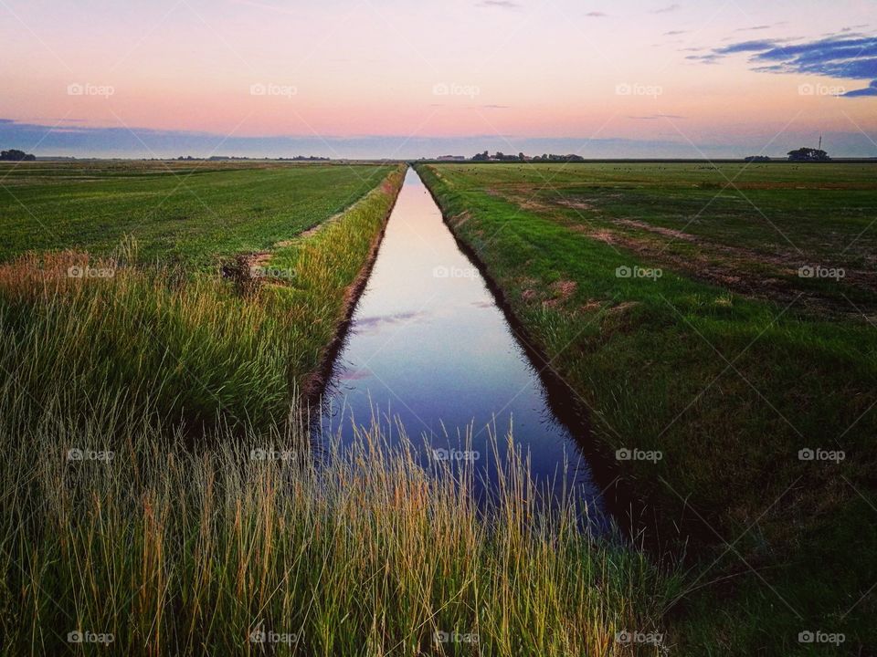 Dutch landscape