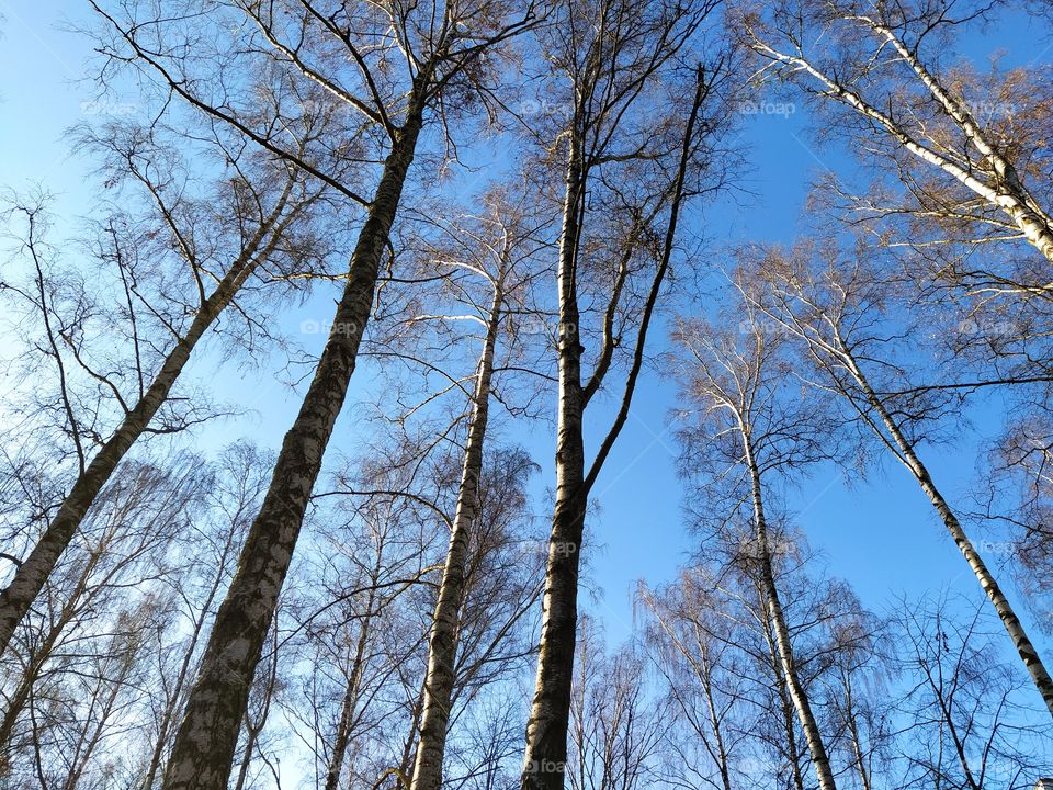 Чудесная пора , Осень