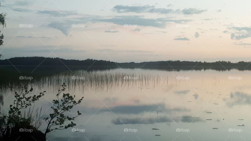 forest lake at sunset