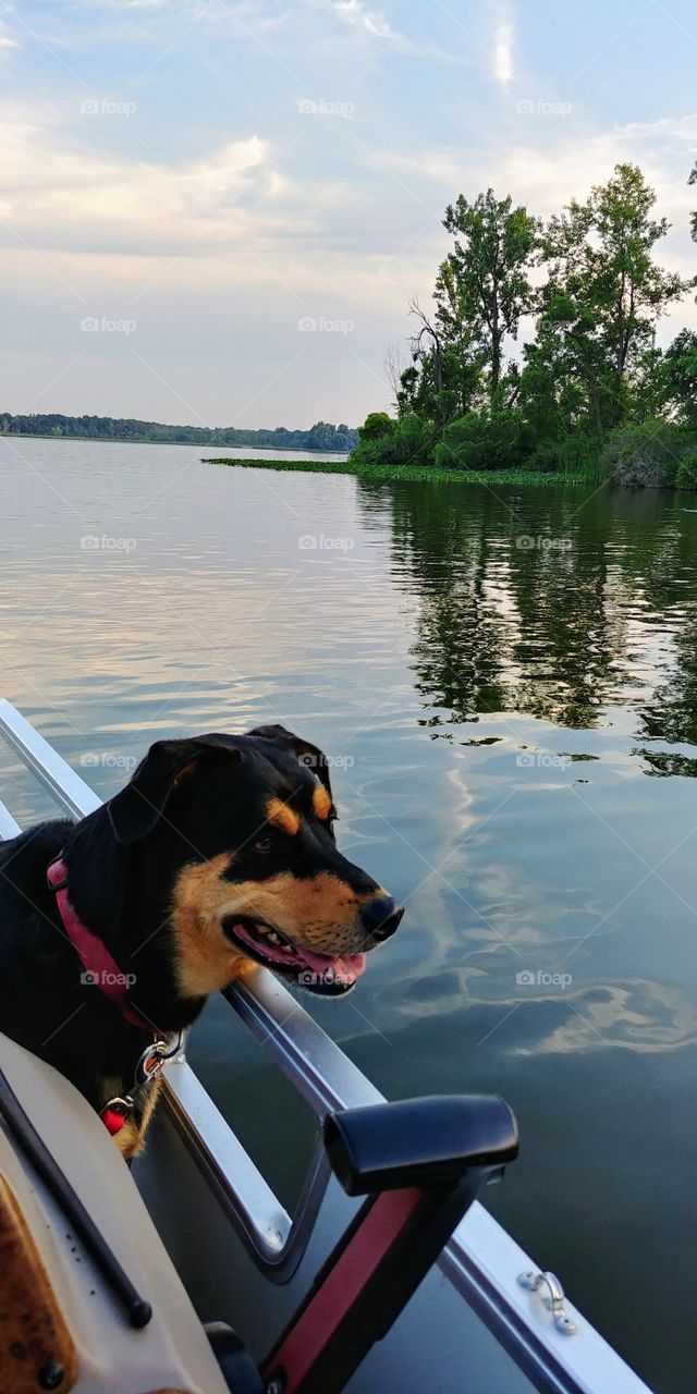 Enjoying the lake