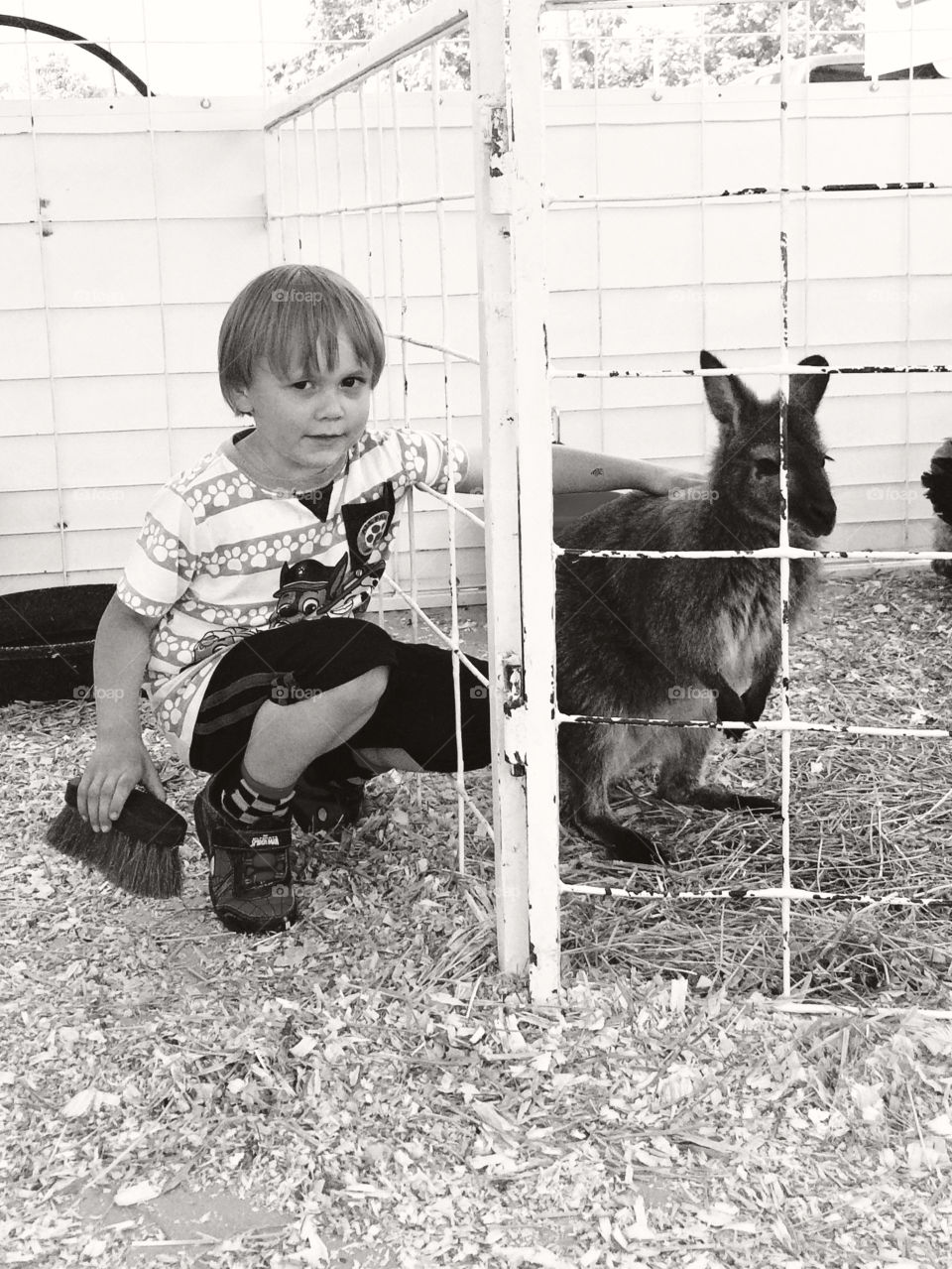 Making friends at the petting zoo......That's NOT a kangaroo in case you were wondering.   