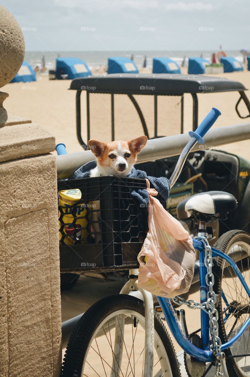 A ride on a hot day