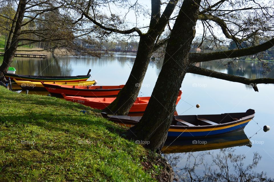 many boats by a lake