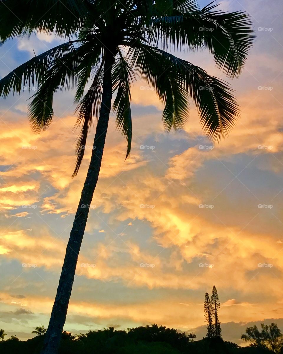 Sunrise from Coconut Island (Moku Ola) at Hilo Bay