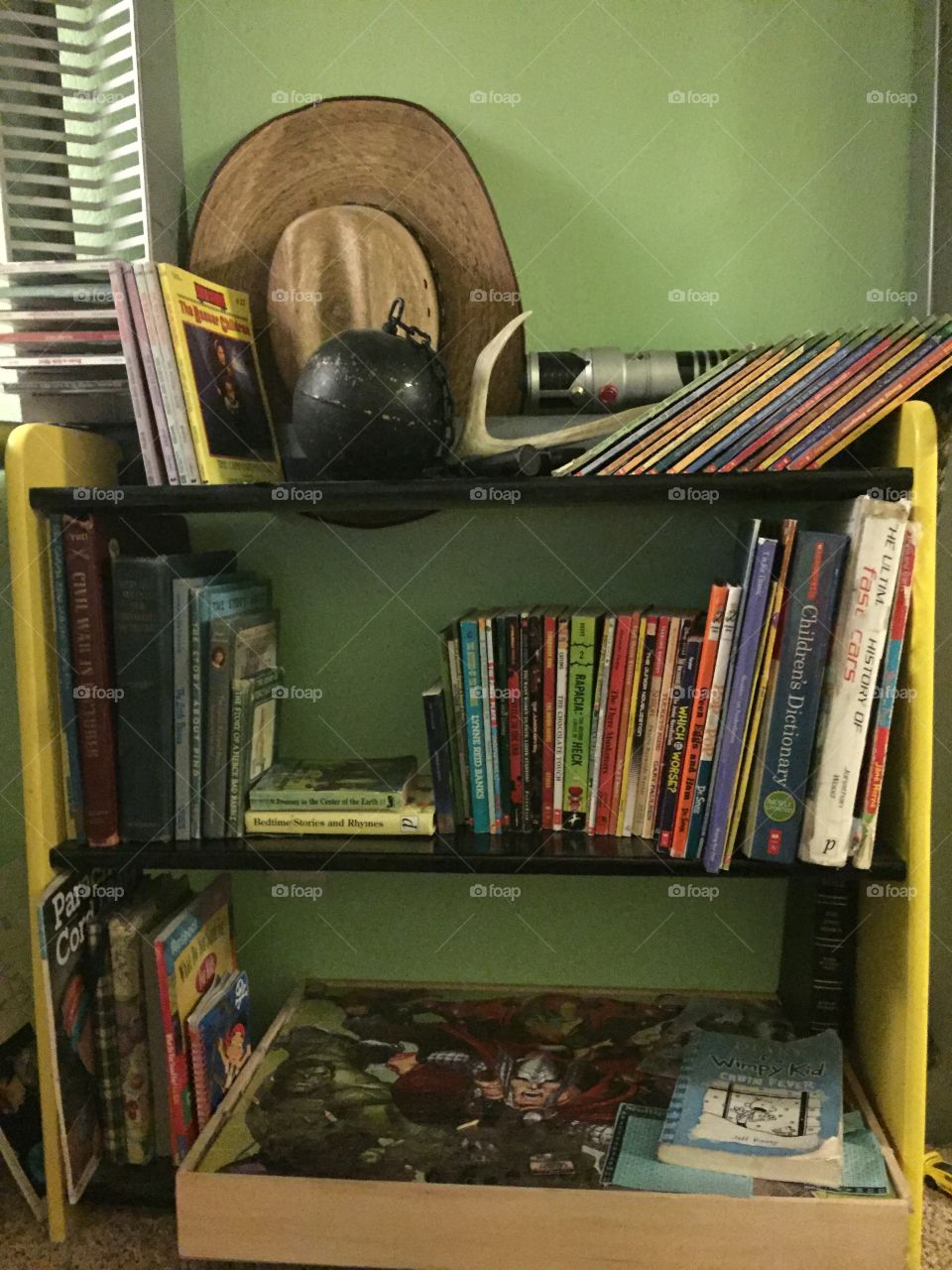 The life of a little boys bookshelf 