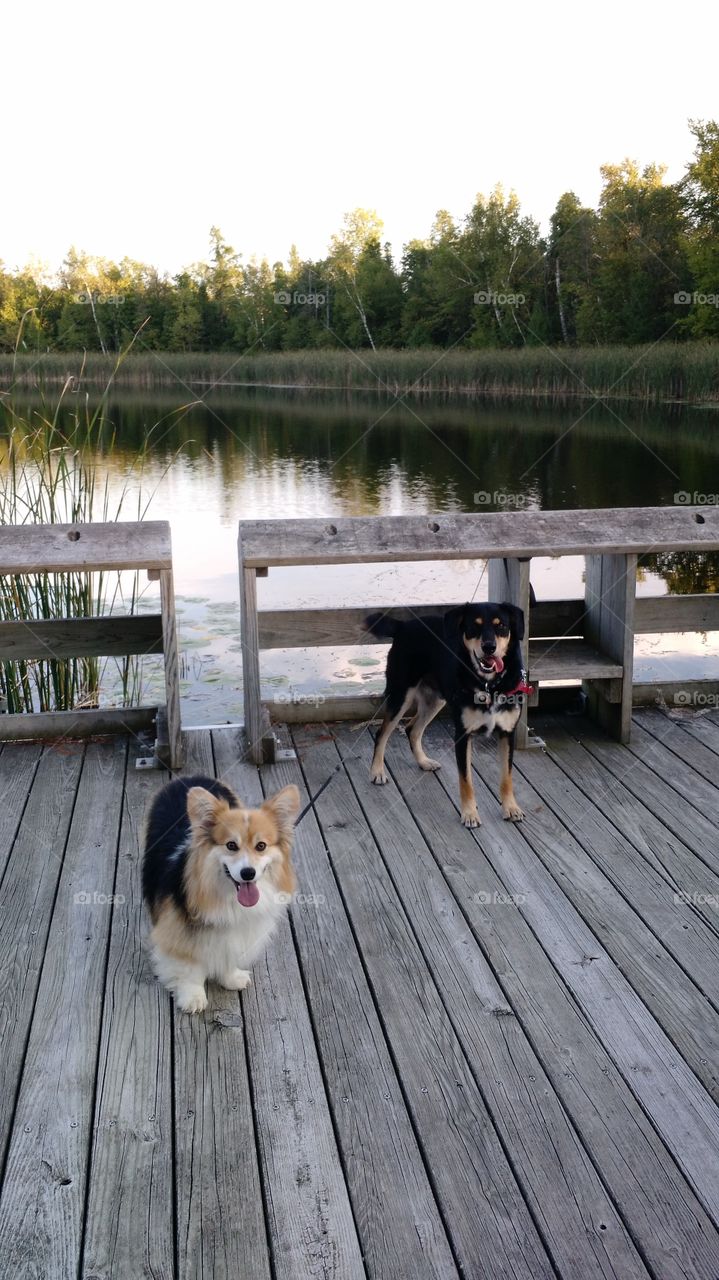 Fishing hole. Wisconsin