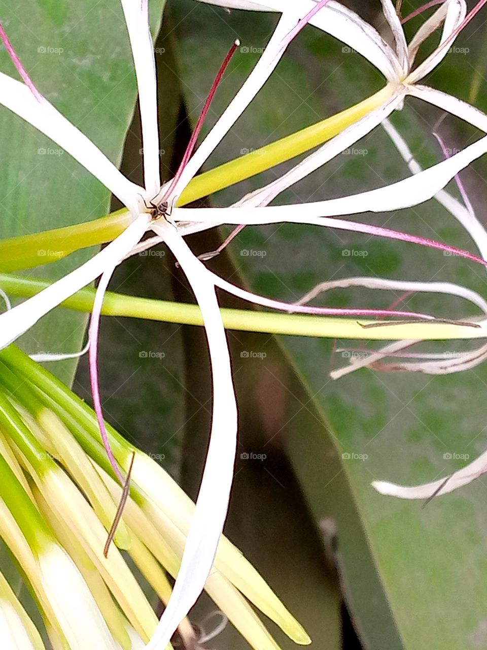 Wildlands are awesome,It pretty sunny here, actually the sun is scorching hot . if you see it zoom it