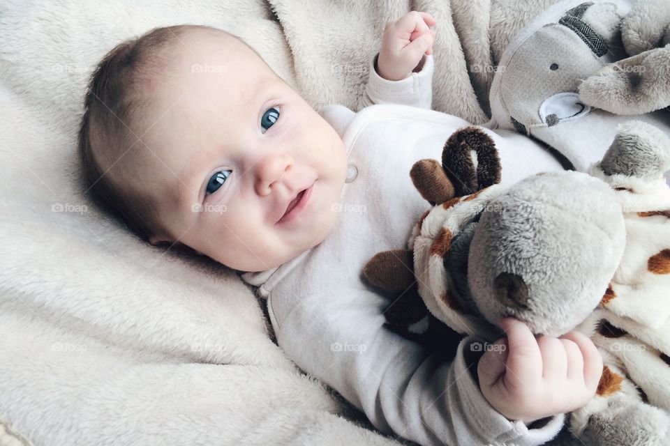 Smiling Two month girl baby. Smiling Two month girl baby with soft toy