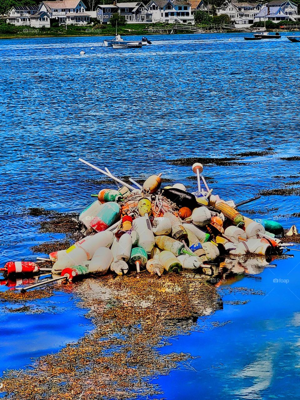 Maine coast