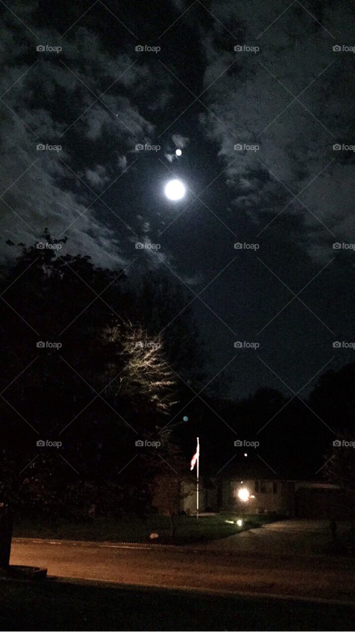 Wolf Cloud Full Moon 