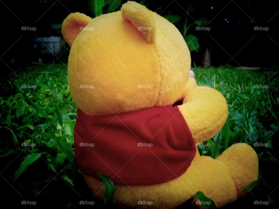 Shade of Winnie the Pooh