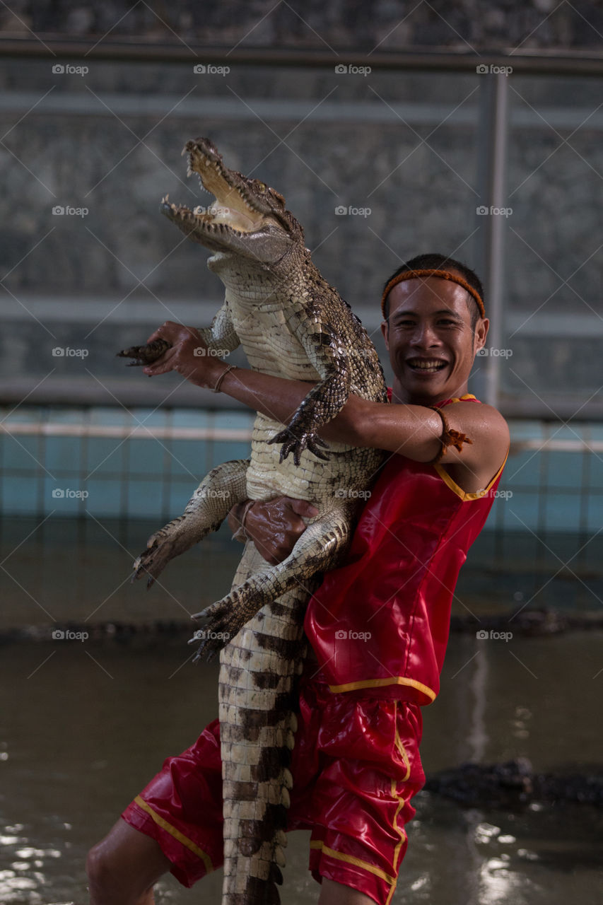 Crocodiles show