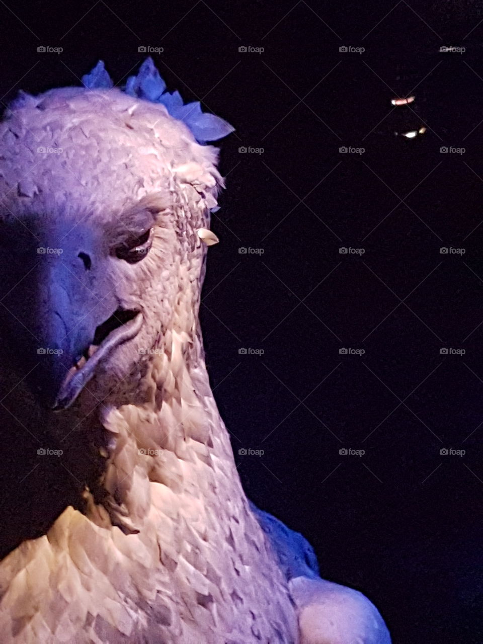 fantasy creature from HP