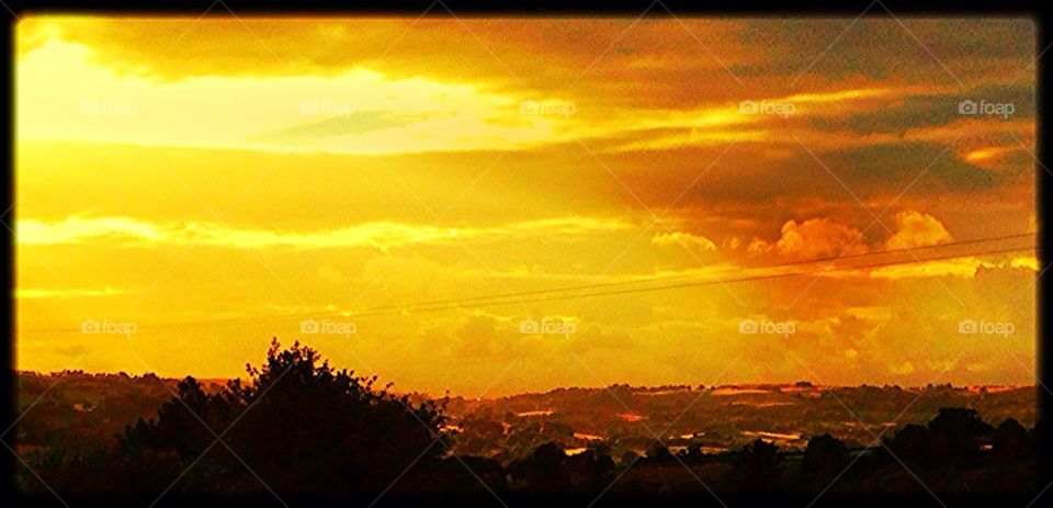 Yellow landscape sunrise