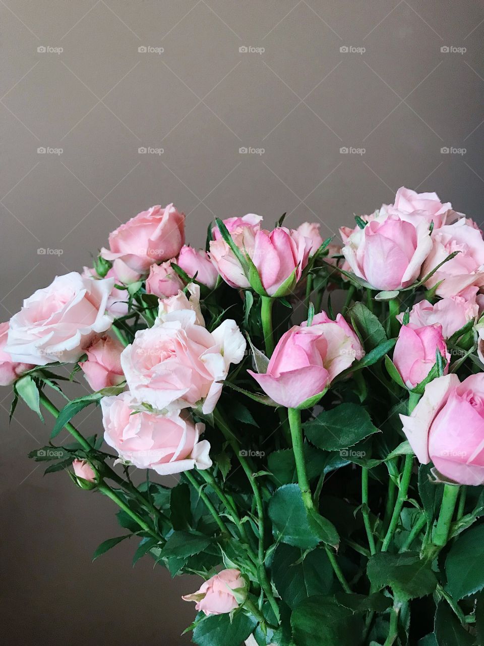 Pink roses bouquet on brown background 