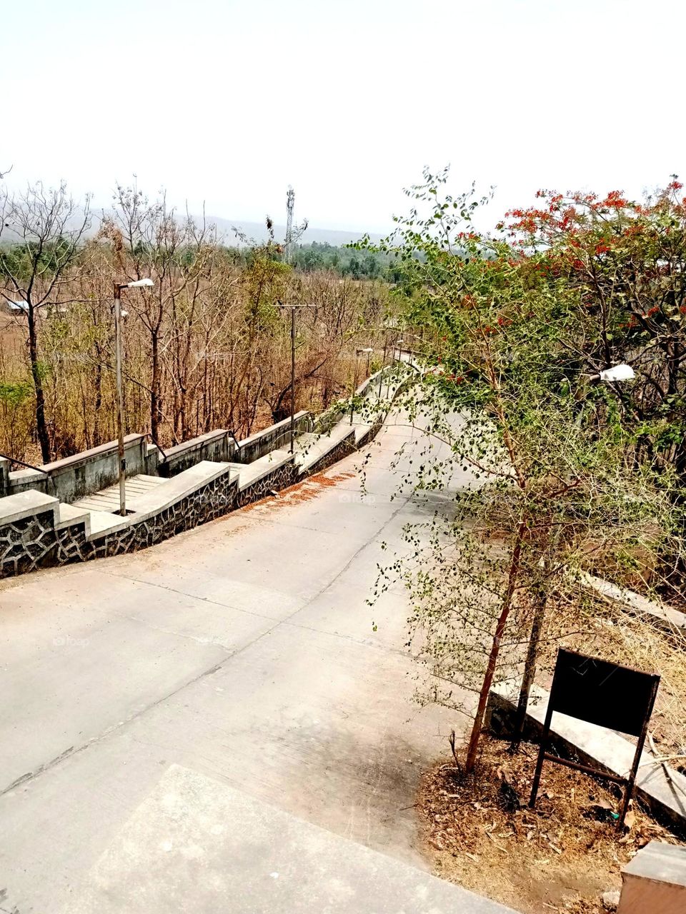 nice down road it's a concrete road forest area place in dang nice tree