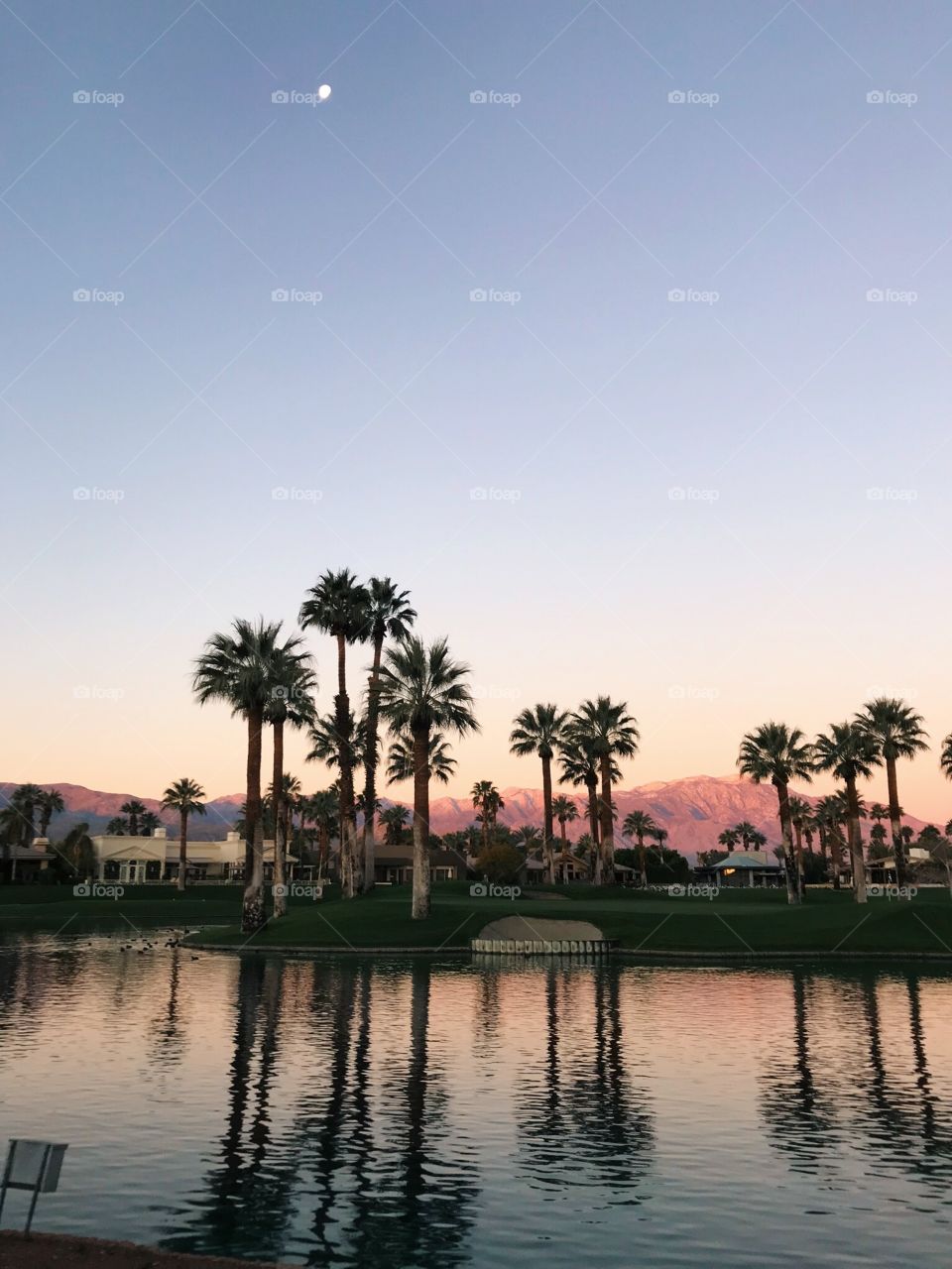 Palm Springs sunsets