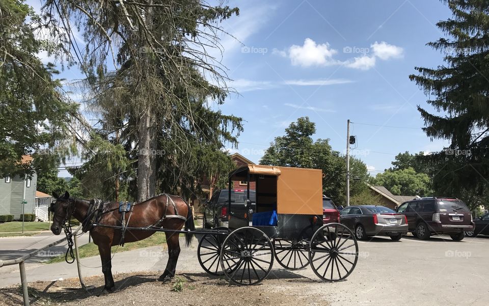 The juxtaposition of the old and the new. The quaint and the modern. An Amish horse and buggy tied to a hitching post in the parking lot with the cars. 