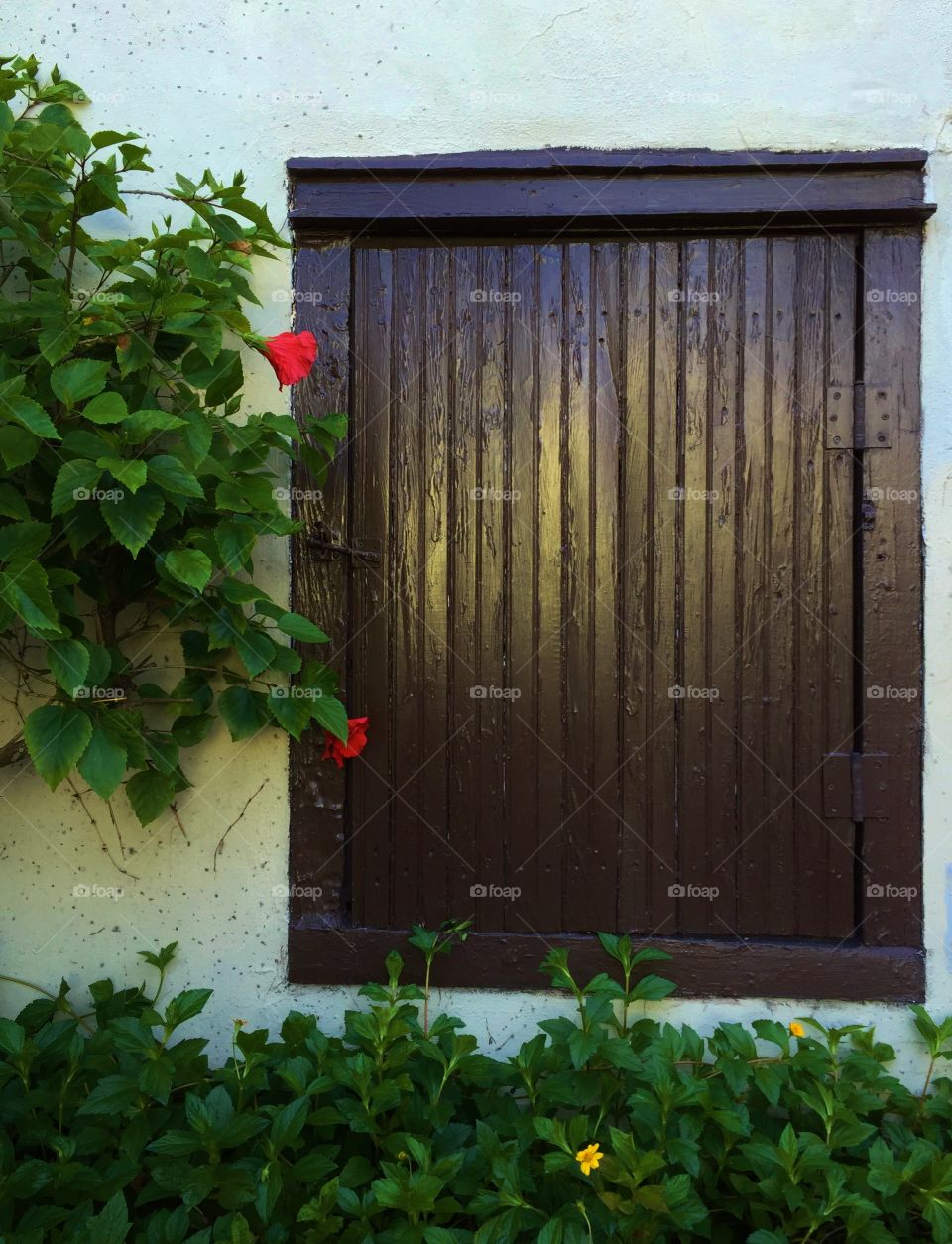 Wooden window with flowers