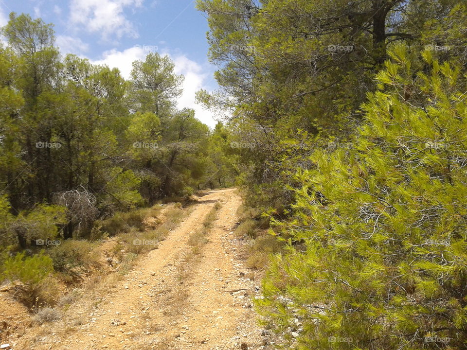 hiking on Kinetta's greek mountains passing through the rally roads on our holidays with friends on a very warm and sunny weather on the summer!