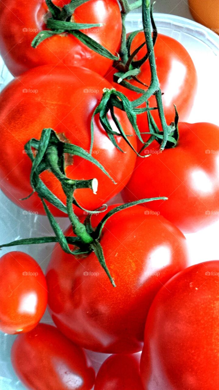 tomatoes, vegetable, food, red