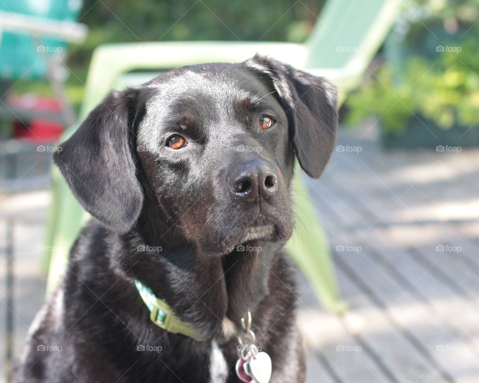 My pretty girl enjoying the sunshine outside ❤️