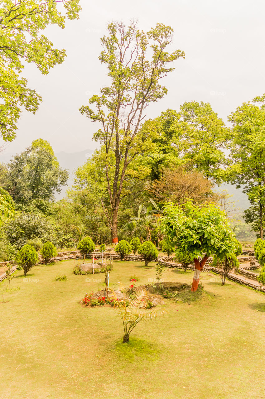 garden with plants and flowers around green field of grass, captured in a sunny day in landscape style. Garden decoration and Exterior interior designing concept.