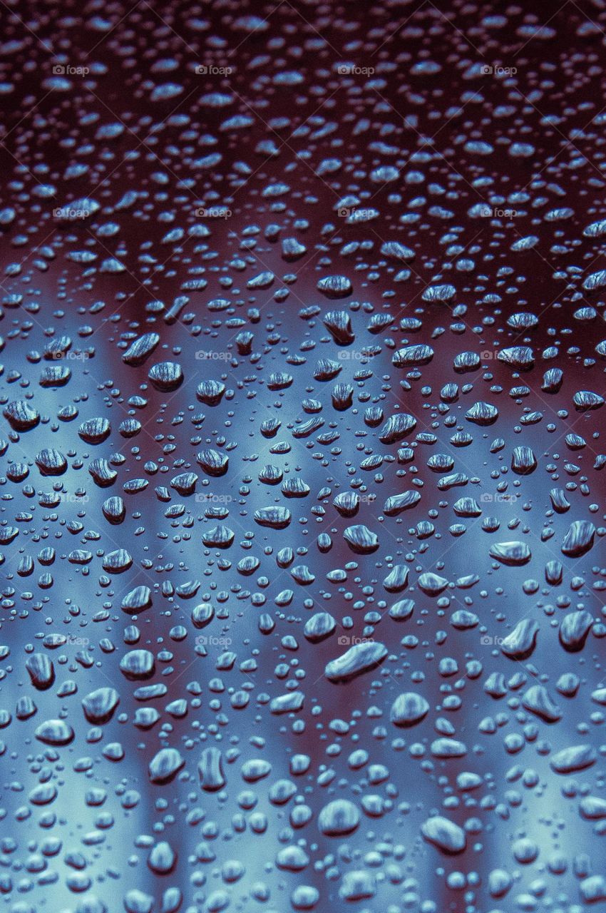 Blue rain. Tons of little tiny blue raindrops on a car windshield with reflections of trees.