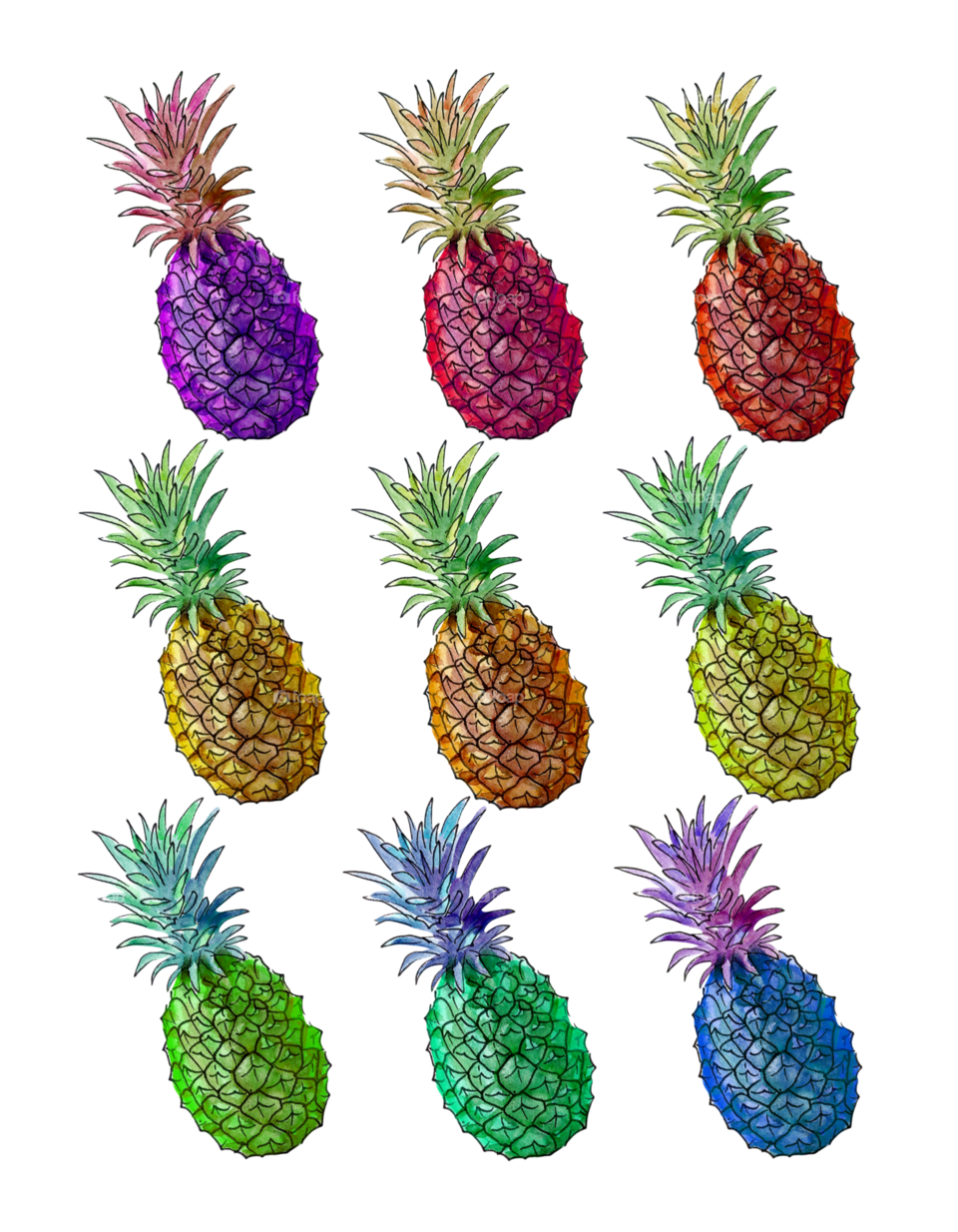 Illustration of Pineapples