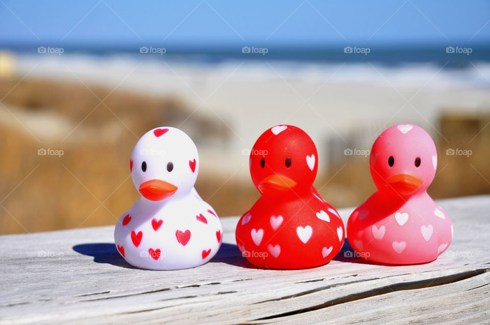 Three rubber duckies at the beach. 