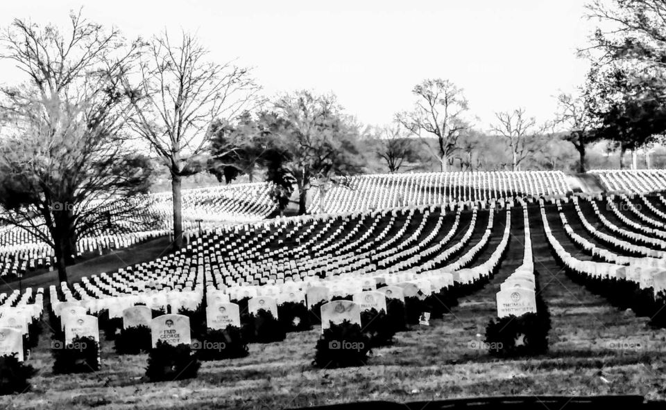 cemetery in black and white