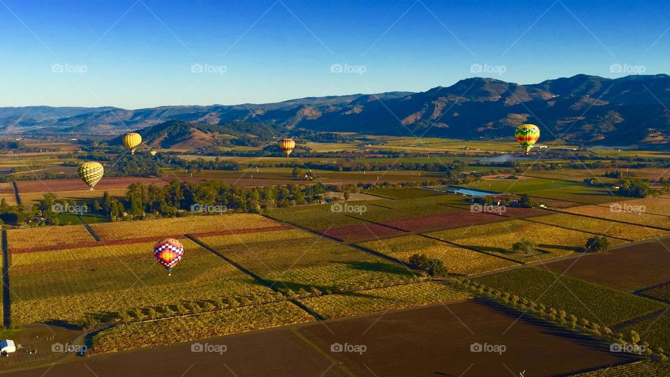 Balloon Napa valley
