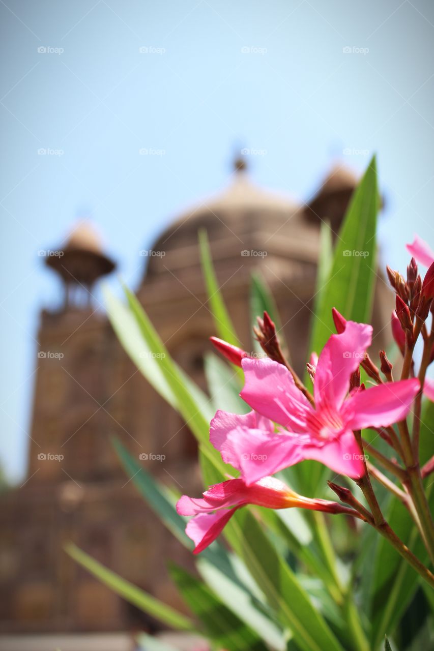 Khusro Bagh