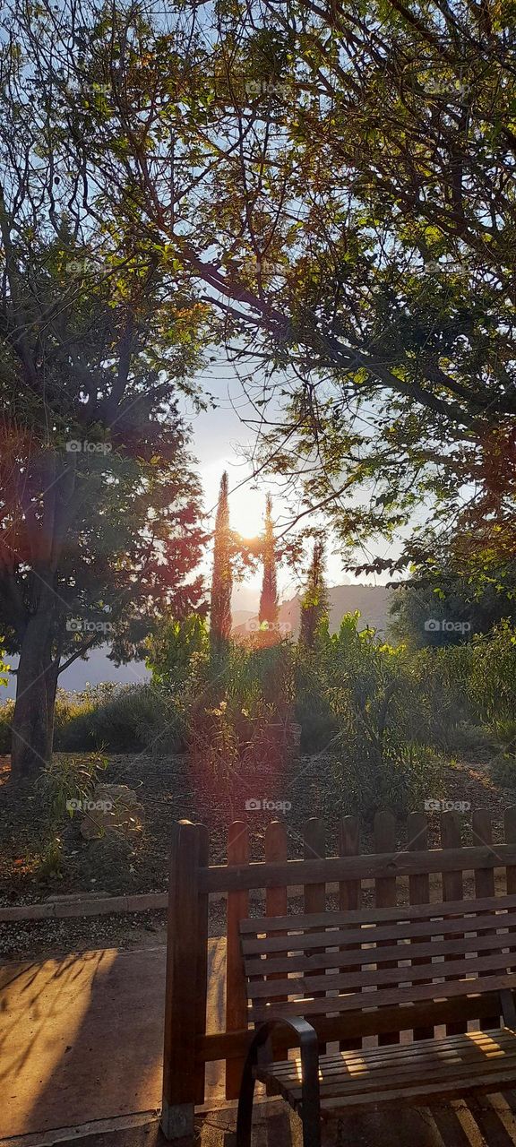 reflejo del sol en el parque