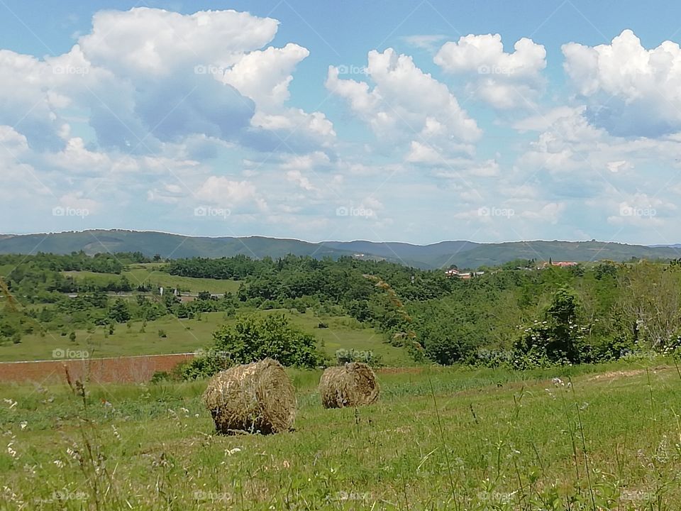 Istrian countryside, Croatia