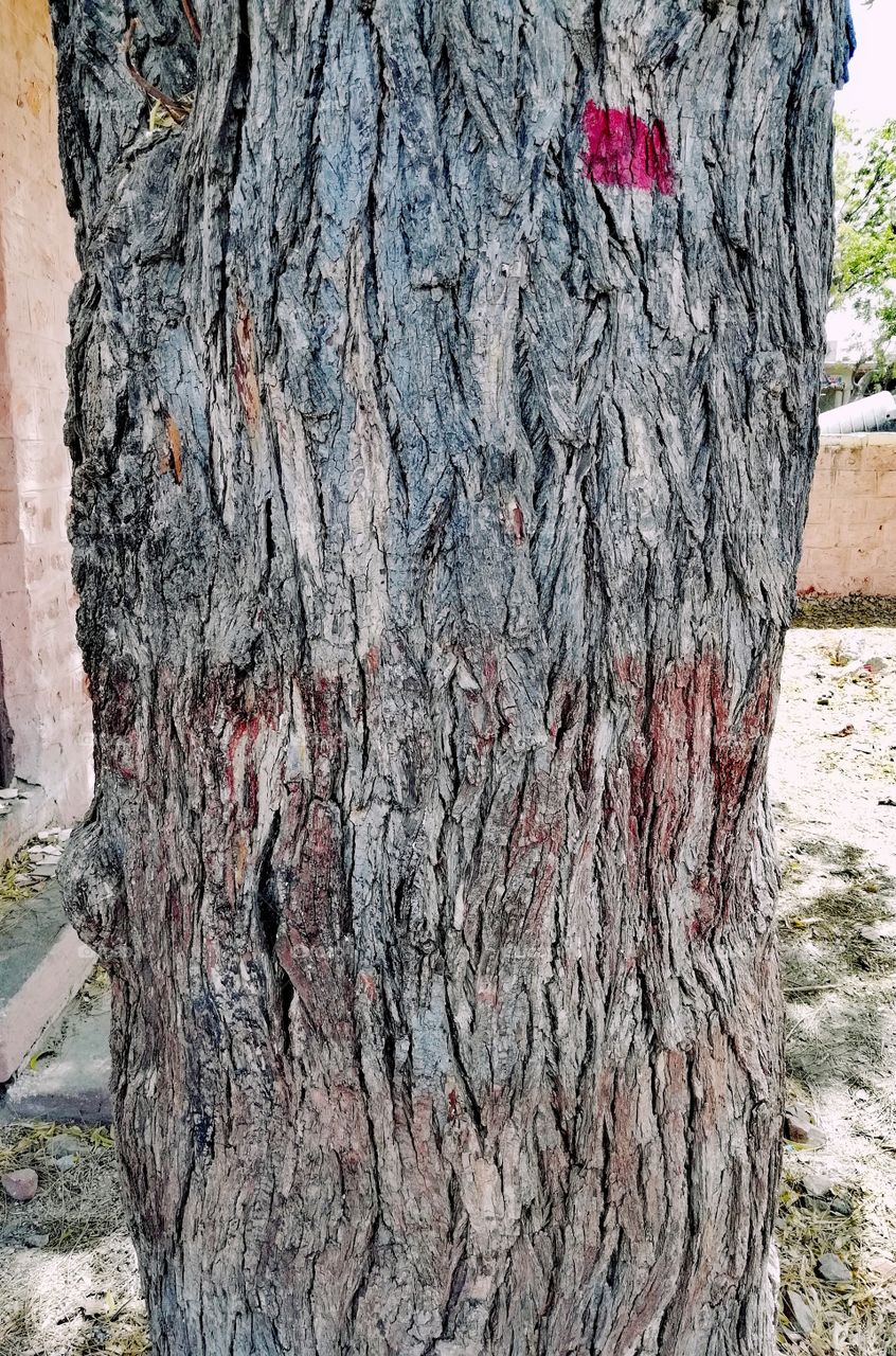Natural Texture Of Wood