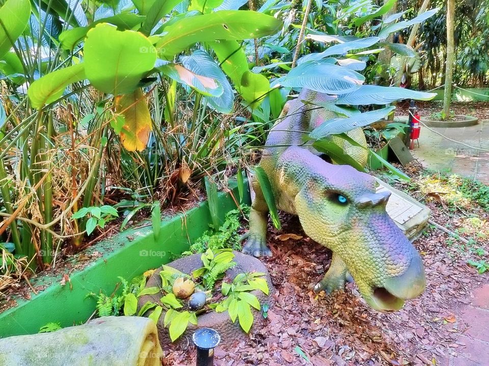 grass entrance city scene parrot graphic feed colorful beautiful little trip activity savannah fur tourism farm holiday childhood monkey funny natural cage zebra garden fauna toddler lion tiger pet baby tree animals bird forest elephant vacation char