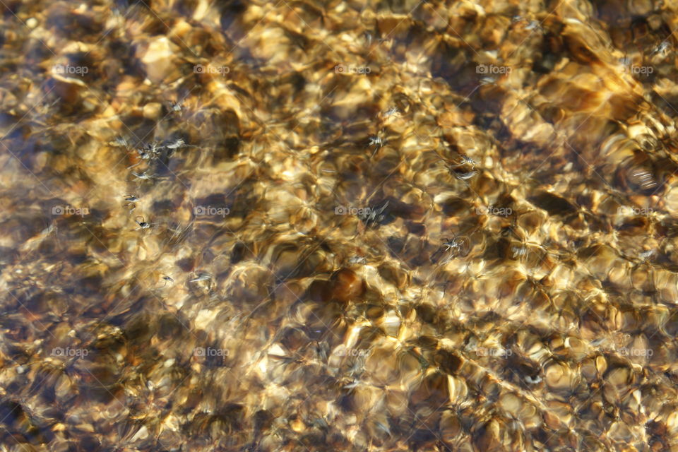 riverbed reflecting sunlight