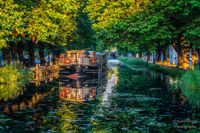 Morning on the Grand Canal, Dublin, Ireland. 
