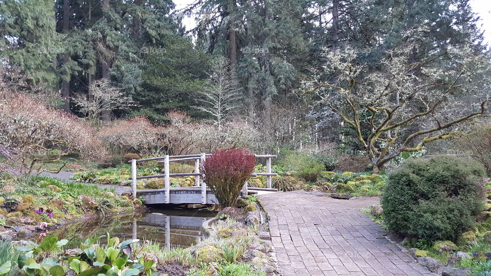 bridge over the pond