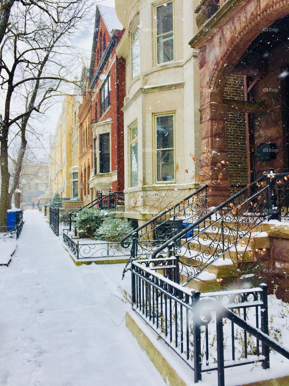 A winter wonderland walk through the streets of Chicago.