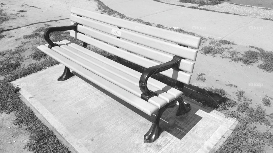 Bench in park on Broadview Ave.